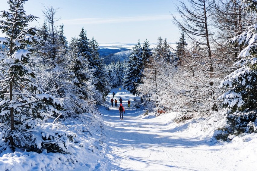 Alpejska pogoda w Beskidach. Słońce, błękit, śnieg i mróz. I mnóstwo turystów w Szczyrku, Bielsku-Białej, Wiśle i Korbielowie