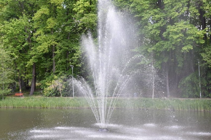 Zielonogórskie fontanny w zeszłym roku przez całą wiosnę i...