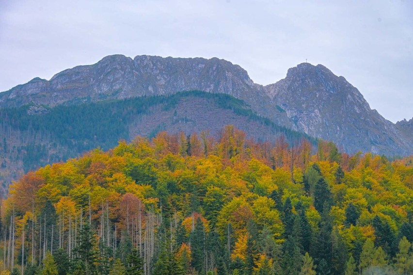 Pogoda w Tatrach w weekend 28-29 października 2023 może...