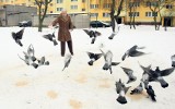 Emeryt z Retkini nie zgadza się z zakazem dokarmiania gołębi