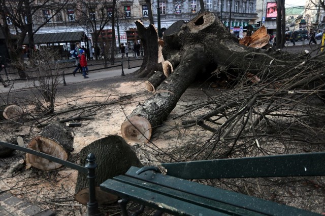 Służby ostrzegają przed bardzo silnym wiatrem, który może wyrządzić znaczne szkody! Przed wiatrem ostrzega IMGW, wysłano także alert RCB.