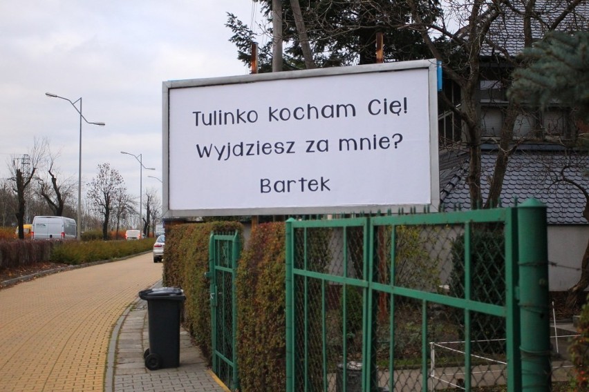 Aleja Polska: Oświadczył się na billboardzie!
