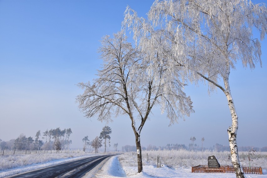 Tak wygląda zima w gminach Rogowo i Janowiec Wielkopolski.