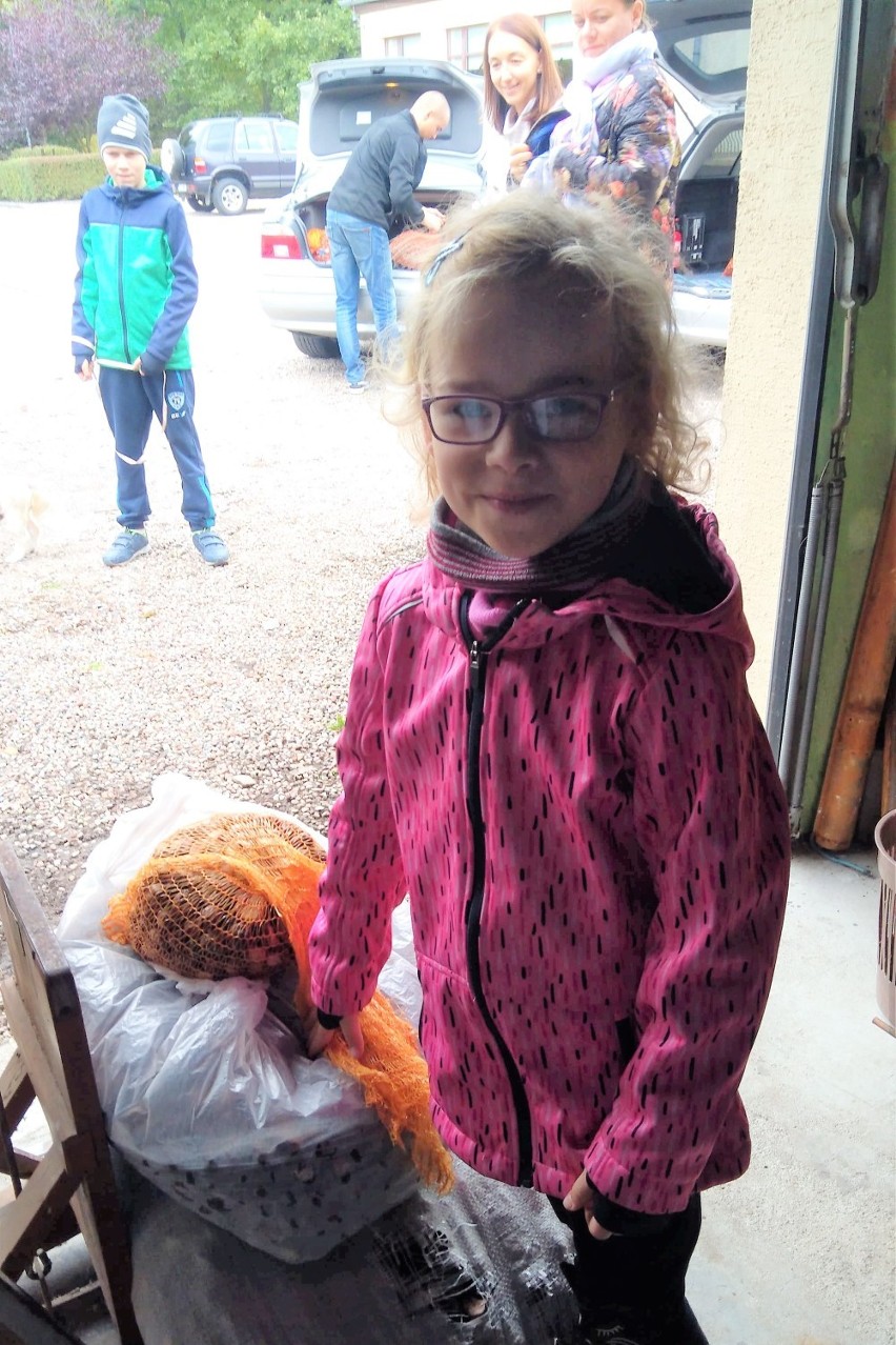 Przedszkola w Złotowie zbierają kasztany dla zwierząt leśnych
