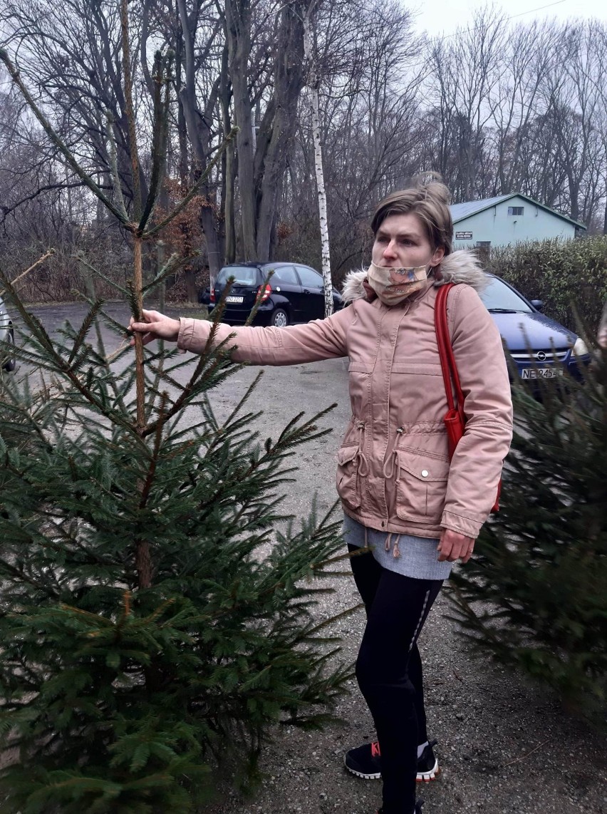 Nowy Dwór Gdański: Świąteczna akcja „Choinka pod choinkę”, bo każdy zasługuje na święta