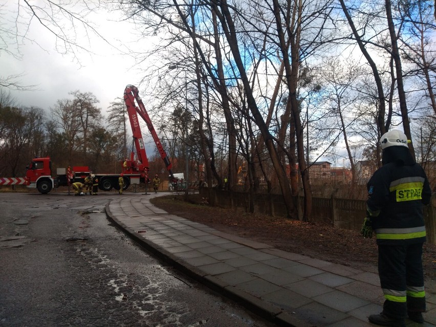 Wejherowo. Na ul. Zamkowej strażacy usuwają drzewa zagrażające bezpieczeństwu. Kilkanaście zgłoszeń przez wichury