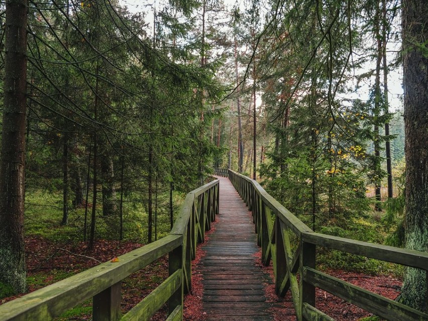 Suchary to regionalna nazwa małych, polodowcowych jeziorek,...