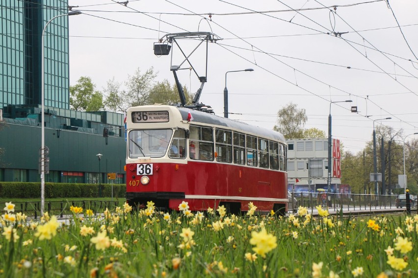 W maju na tory wyjadą zabytkowe tramwaje linii 36. Będą...