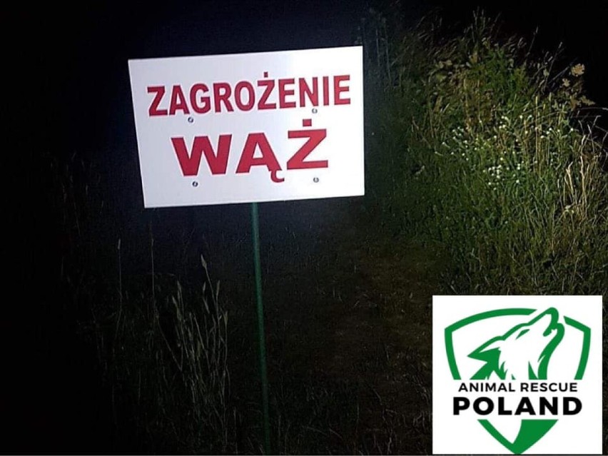 Gra terenowa w poszukiwaniu pytona nad Wisłą. Rodzinne wydarzenie odbędzie się 11 września