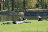 Obiad nad rzeką czy lunch w cieniu. Oto 10 najlepszych miejsc na piknik we Wrocławiu