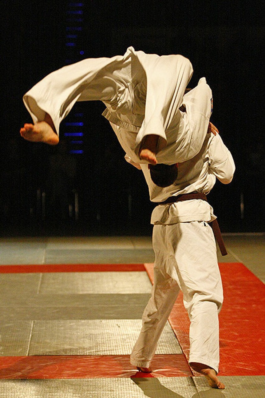 Pokaz karateków przybliżających styl Kyokushin zrobił na...