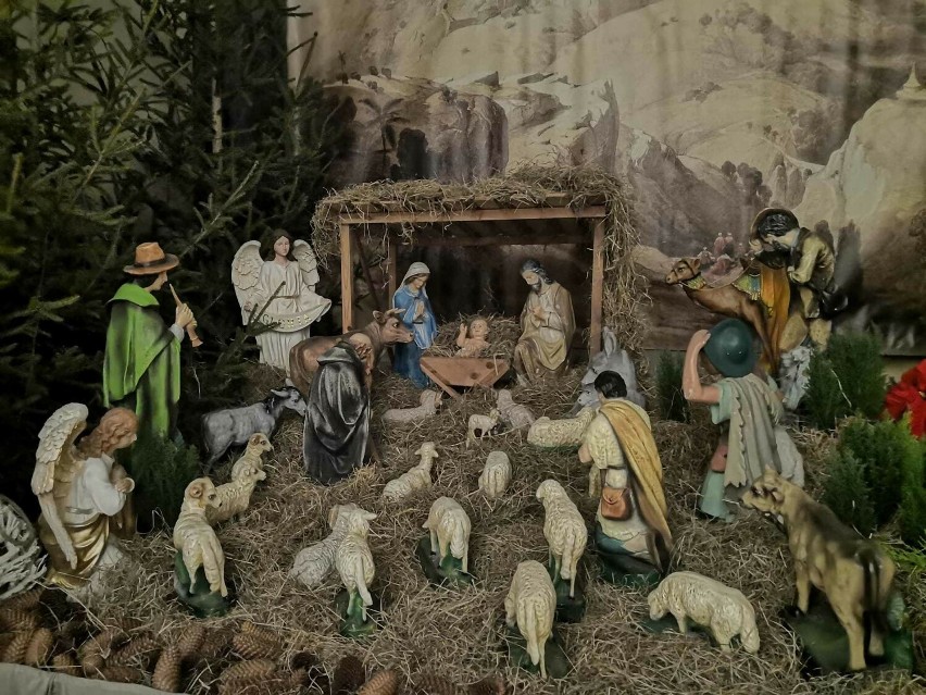 Szopka bożonarodzeniowa w kościele Niepokalanego Poczęcia...