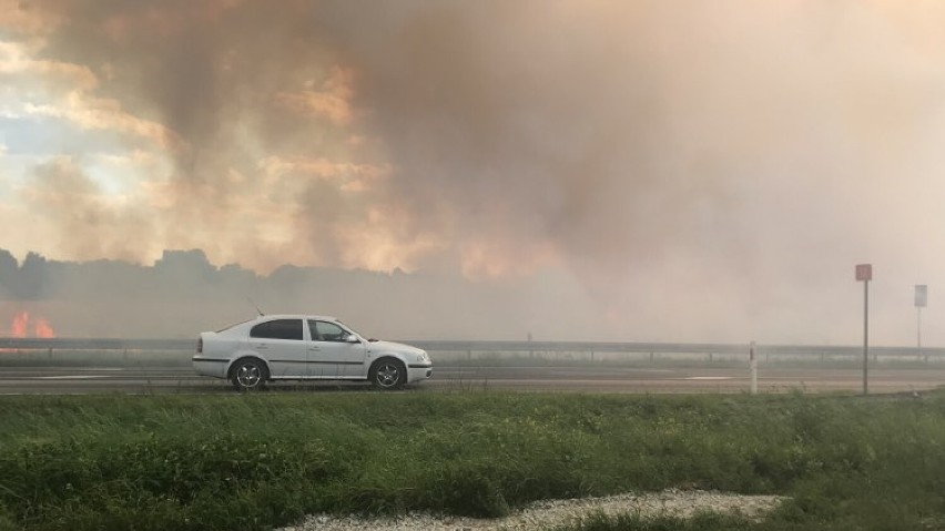 Dwa pożary zboża na pniu w tej samej okolicy. Interweniuje kilkanaście jednostek straży pożarnej ZDJĘCIA