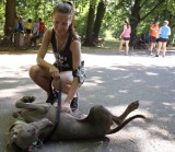 Parkrun Łódź. Jubileuszowy bieg w parku Poniatowskiego [ZDJĘCIA, FILM]