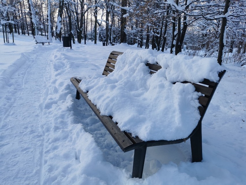 Park w Kościelcu w zimowej odsłonie