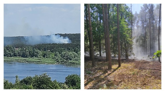 Pożar poszycia leśnego na Zawiślu (około 0,5 ha)