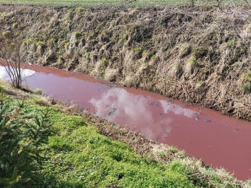 Są wyniki wody z zanieczyszczonego kanału melioracyjnego