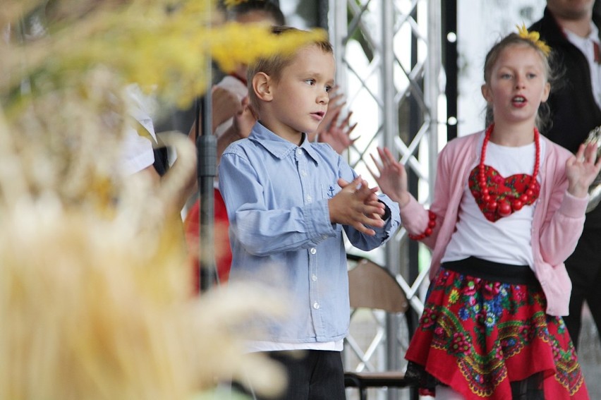 Dożynki w Wierzbnej: deszczowo, ale wesoło! (ZDJĘCIA)