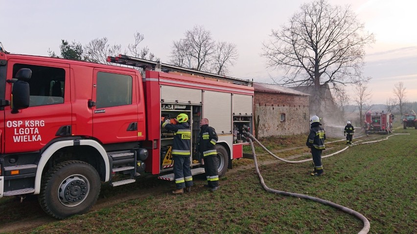 Pożar budynku gospodarczego w gminie Dobryszyce [ZDJĘCIA]