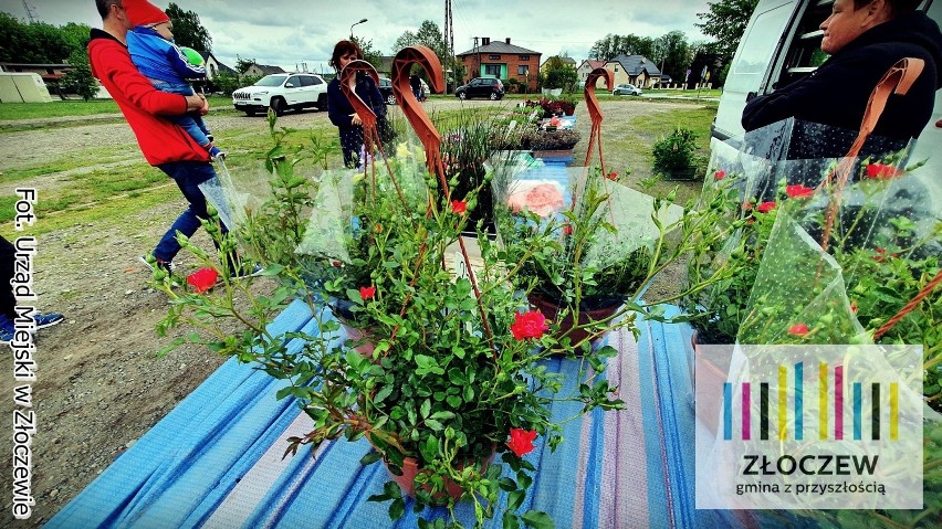 Wiosenny kiermasz roślin odbył się w Złoczewie (zdjęcia)