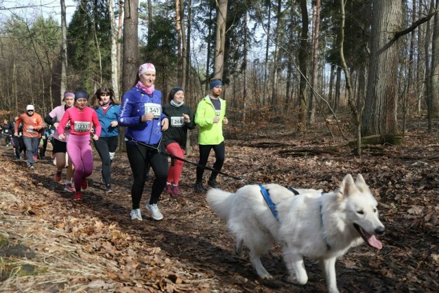 City Trail z Nationale-Nederlanden to dla wielu osób stały punkt biegowego kalendarza.
Zobacz kolejne zdjęcia. Przesuwaj zdjęcia w prawo - naciśnij strzałkę lub przycisk NASTĘPNE