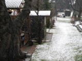 Zima [2014] w Mysłowicach: Sypnęło śniegiem. Drogowcy czy pada, czy nie i tak sypią sól