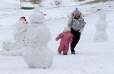 Lepienie bałwanów nad Zalewem Zemborzyckim (zdjęcia)