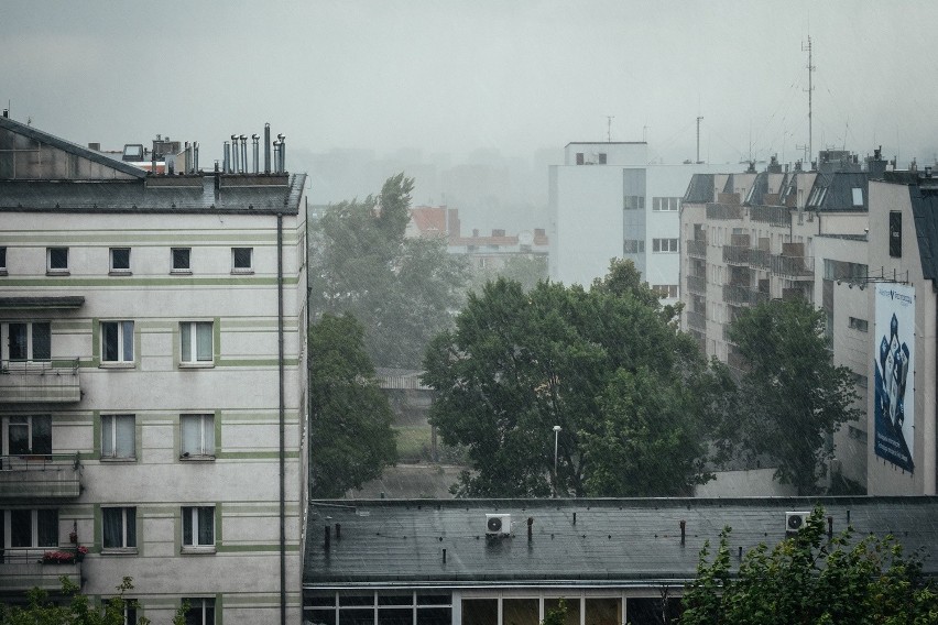Poznań: Wichura połamała drzewa