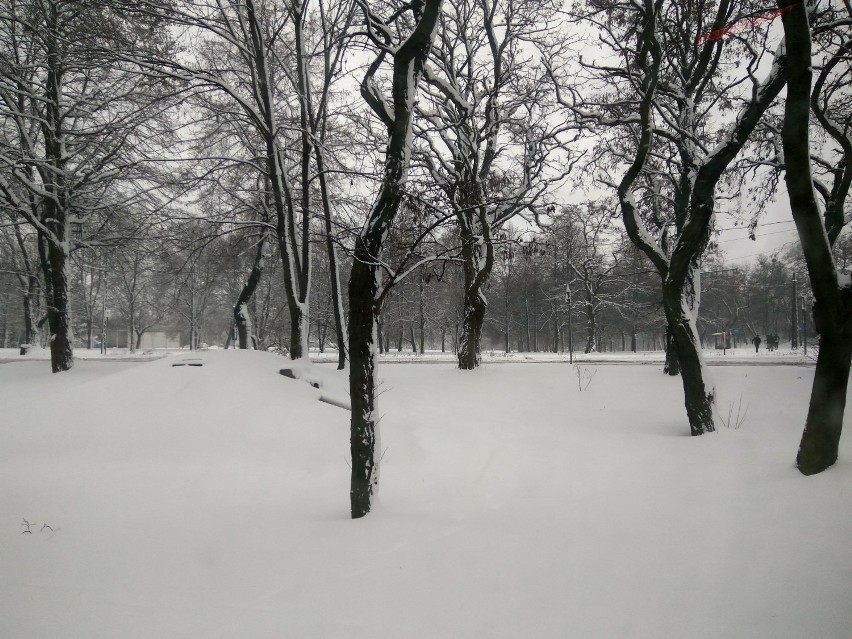 Zima 2017 w mieście