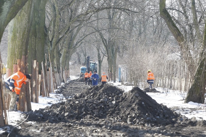 Remont w parku Poniatowskiego w Łodzi. Nowe drzewa, aleje i latarnie [ZDJĘCIA]