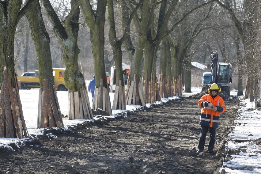 Remont w parku Poniatowskiego w Łodzi. Nowe drzewa, aleje i latarnie [ZDJĘCIA]