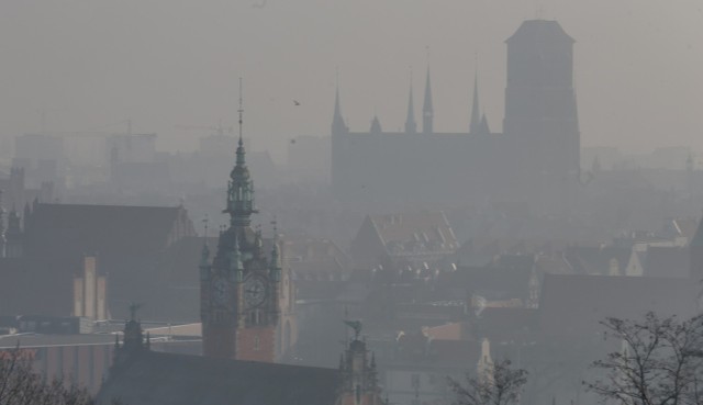 Jak zmniejszyć ilość pyłów w atmosferze? Władze Gdańska mają plan