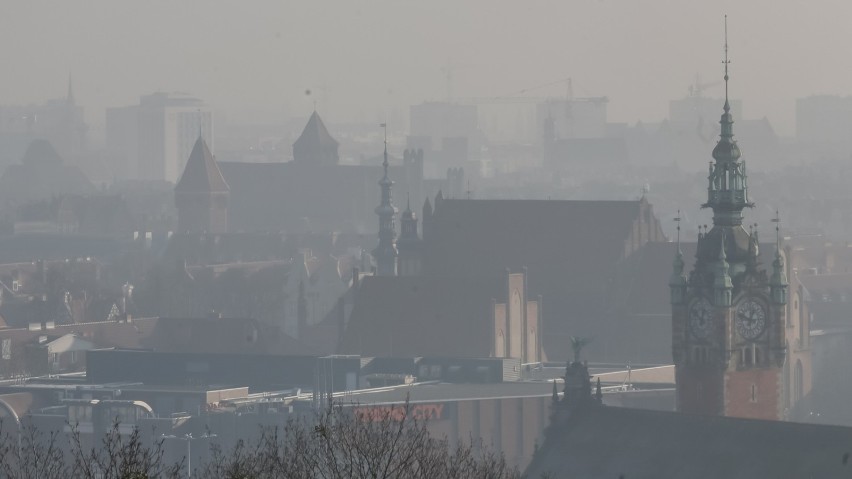 Jak zmniejszyć ilość pyłów w atmosferze? Władze Gdańska mają...