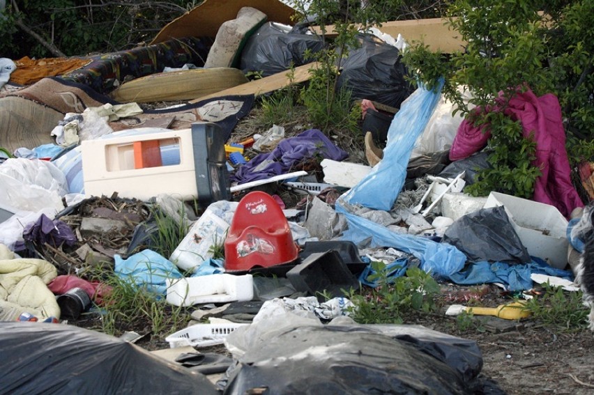 Dzikie wysypisko śmieci na ulicy Bobrowej w Legnicy [ZDJĘCIA] 