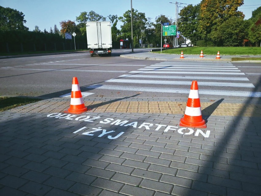 W Suwałkach przed przejściami dla pieszych wykonano napisy "Odłóż smartfon i żyj"