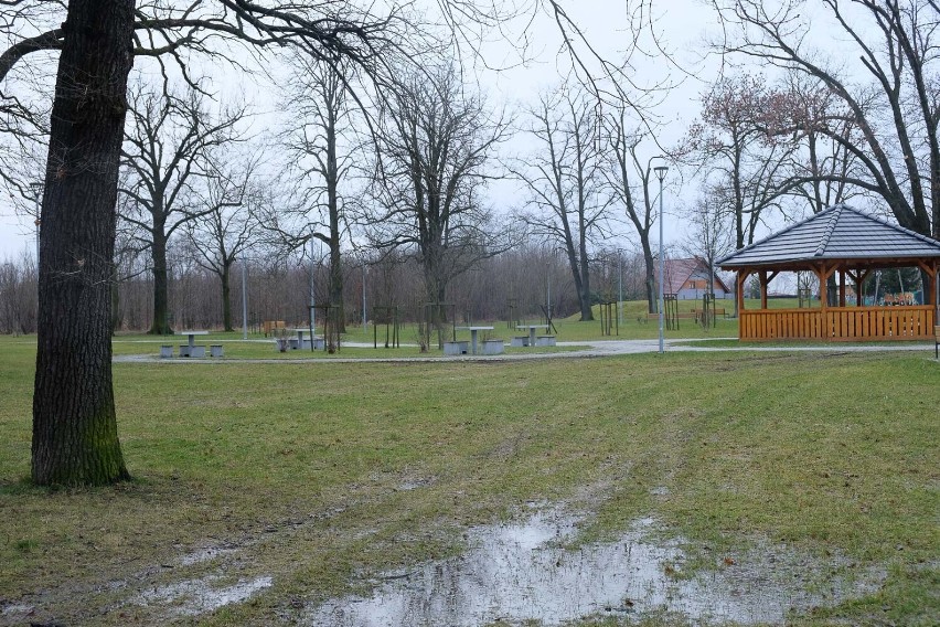 Trwają konsultacje w sprawie ulokowania wybiegu dla psów w...