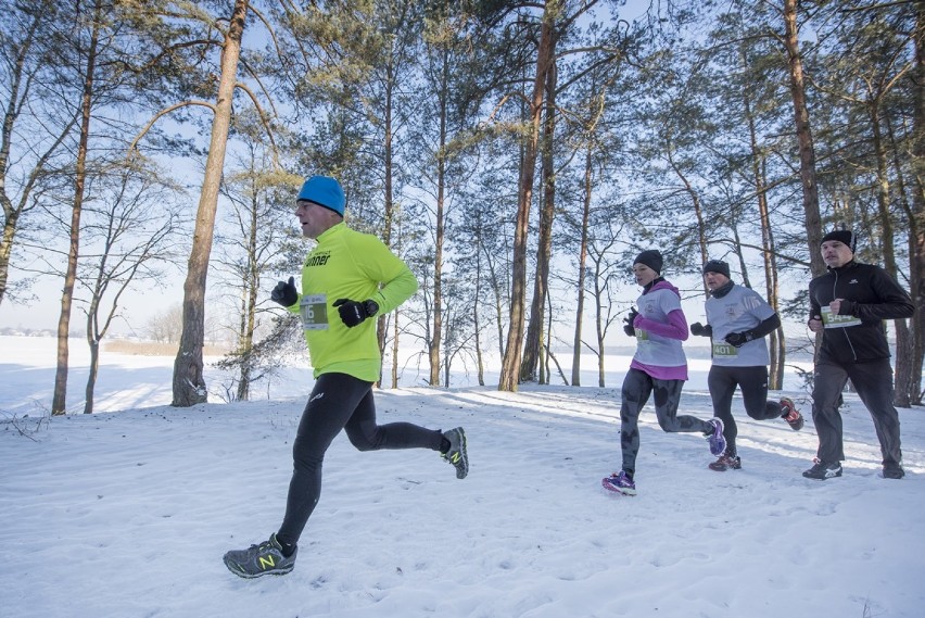 CITY TRAIL Bydgoszcz. Sprawdź terminarz biegów