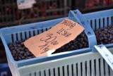 Rozpoczyna się sezon jagodowy 2023 w powiecie sławieńskim. Ile za litr jagód w Sławnie? Zdjęcia