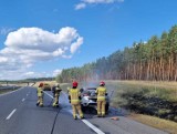 Pożar na S3 w powiecie międzyrzeckim. Samochód osobowy doszczętnie spłonął! 