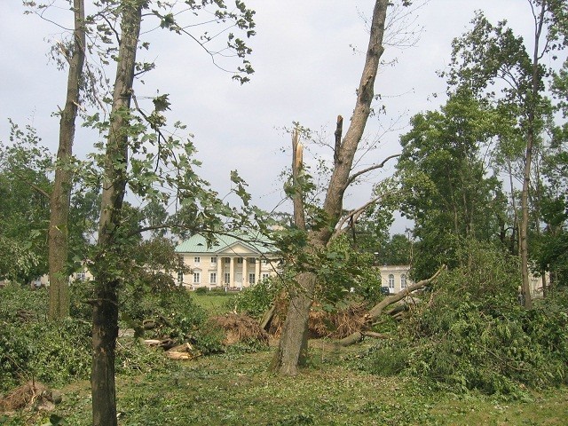 Wichura zniszczyła niemal wszystkie drzewa w zabytkowym parku w Białaczowie. Dziś jest on odbudowywany