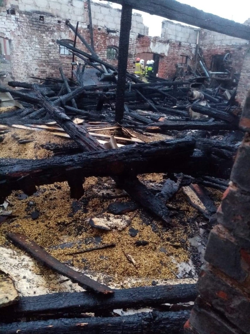 Pożar budynku stolarni w Nowewsi Chełmińskiej - w akcji...