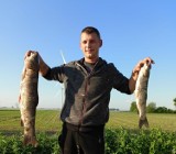 Kolejna duża ryba złowiona tym razem w Prośnie 