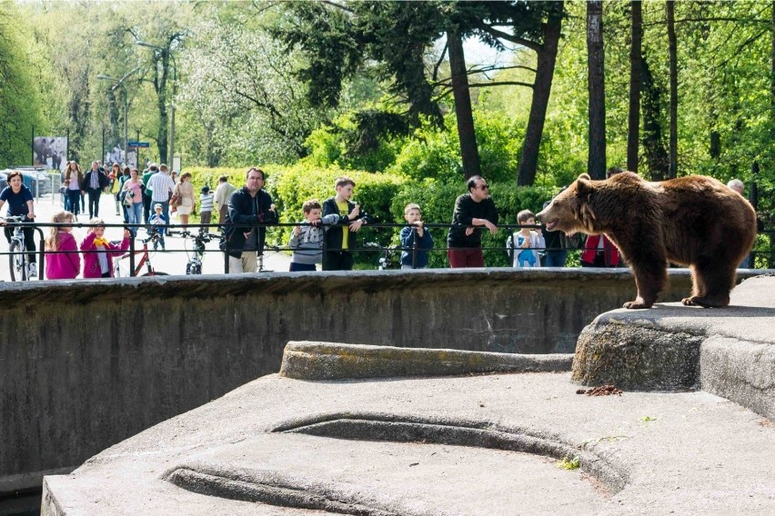 Akcja "żołędzie i orzechy dla ZOO". Pracownicy warszawskiego...