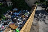 Wielkie sprzątanie w Warszawie. Mieszkańcy wspólnie zbiorą śmieci z prawego brzegu Wisły