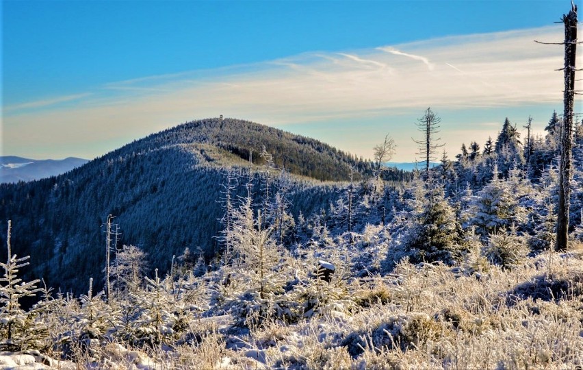 Beskid Sądecki. Zima w górach urzeka swoim pięknem. Takie widoki tylko na Sądecczyźnie [ZDJĘCIA]