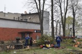 Drzewa przy kinie Hutnik na Paruszowcu wycięte. Kloch: To mógł być pierwszy park Rybnika WIDEO