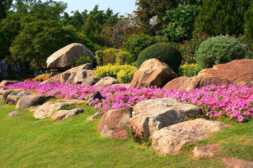 Ogród Botaniczny w Powsinie powinien zobaczyć każdy. Idealne...