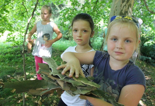 Dzieci z DOK w Ogrodzie Botanicznym w Łodzi