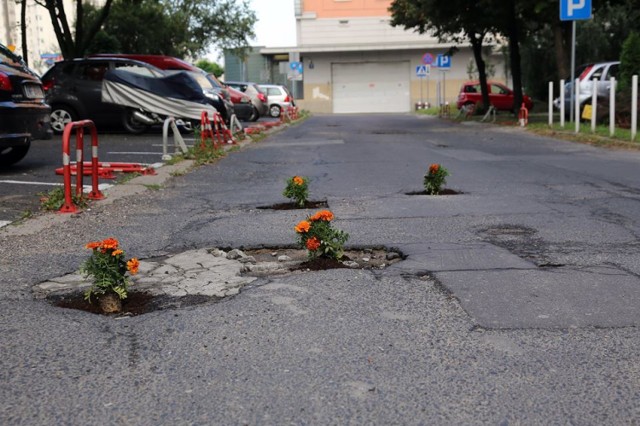 Miał dość dziurawej drogi. Zasadził w niej kwiaty [ZDJĘCIA]