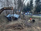 Wypadek pod Tuchowem. Citroen wypadł z drogi w Lubaszowej i wylądował w głębokiej fosie. W akcji straż pożarna, policja i pogotowie